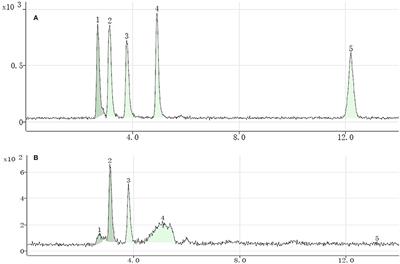 Selenium Biofortification of Soybean Sprouts: Effects of Selenium Enrichment on Proteins, Protein Structure, and Functional Properties